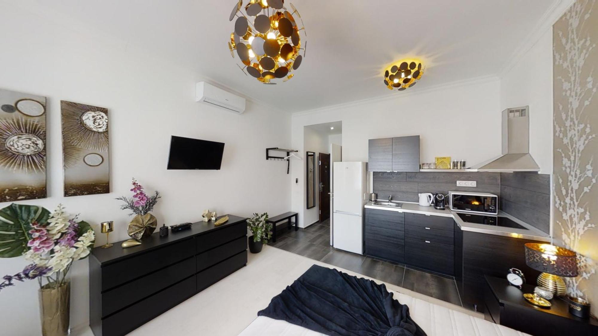 Apartment Black Baron *